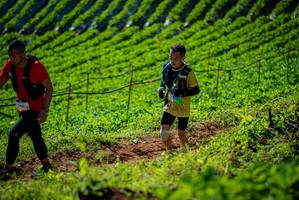 BIB: 
                            <button type="button" onclick="openModal(19161341)" class="btn btn-primary btn-sm float-right btn-popup" data-toggle="modal" data-target=".modal-high-quality">
                        <i class="fas fa-shopping-cart"></i> Add to Cart
                    </button>
                                            <button type="button" onclick="isThisMe(19161341, true)" class="btn btn-success btn-sm float-right btn-popup btn-isme hidden" data-toggle="tooltip" data-placement="bottom" title="นี่คือรูปของคุณใช่ไหม คลิกที่นี่เพื่อเอาเข้าอัลบั้ม">
                        <i class="fas fa-plus"></i> Add to album
                    </button>
                    <button type="button" onclick="isThisMe(19161341, false)" class="btn btn-warning btn-sm float-right btn-popup btn-isnotme hidden">
                        <i class="fas fa-ban"></i> Remove from album
                    </button>